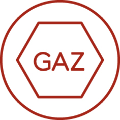 ferro_icon_gaz_r.jpg